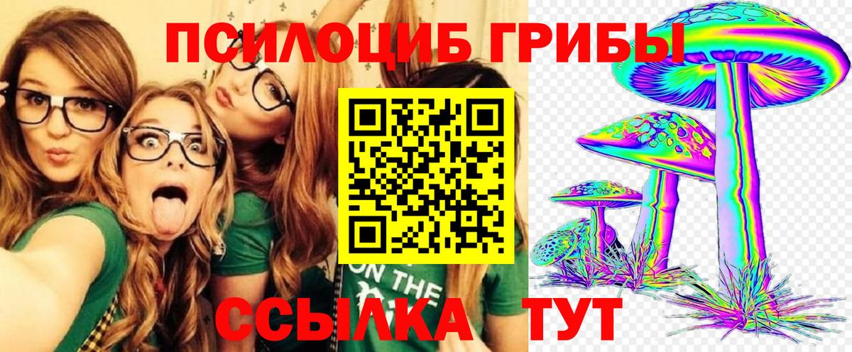 Псилоцибиновые грибы ЛСД Бор