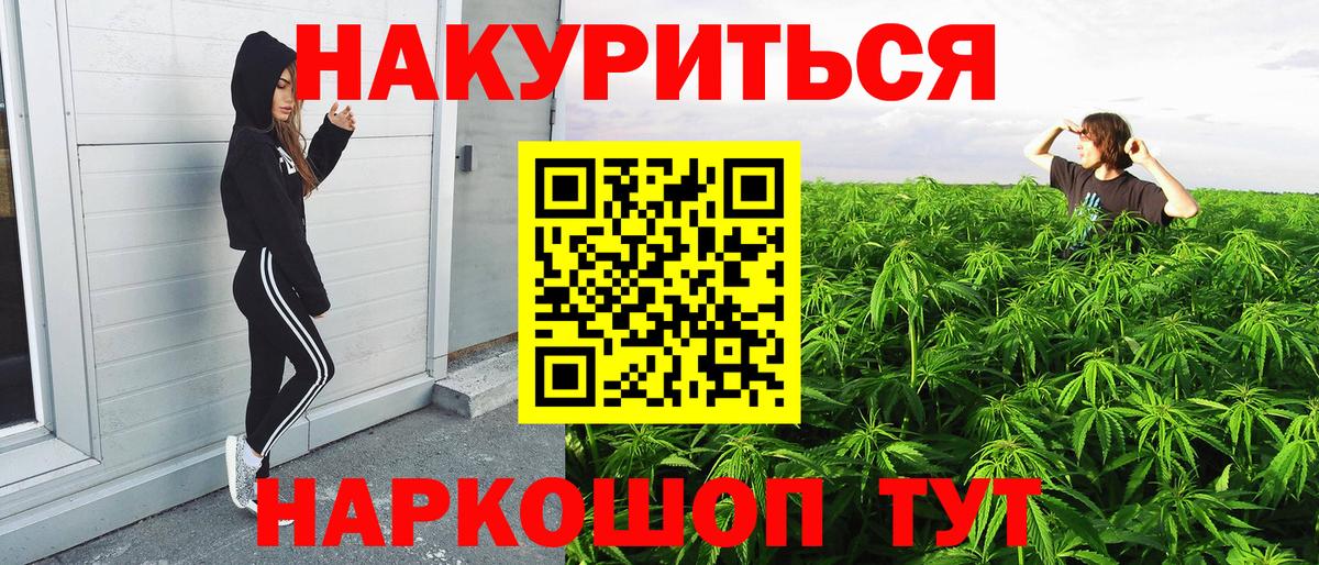 МАРИХУАНА ГИДРОПОН  Конопля OG Kush  Бор  Каннабис семена  Вход с VPN 